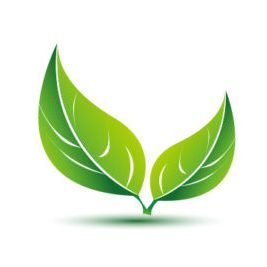 pf-atp-recycle-leaf-400x267 pf-atp-recycle-leaf-400x267